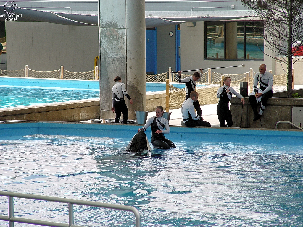 Dolphin Cove