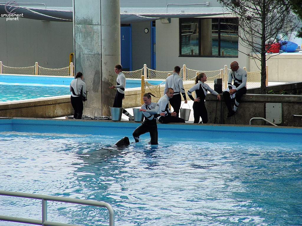 Dolphin Cove