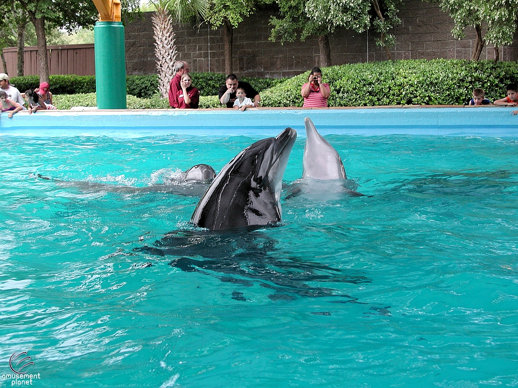 Dolphin Cove