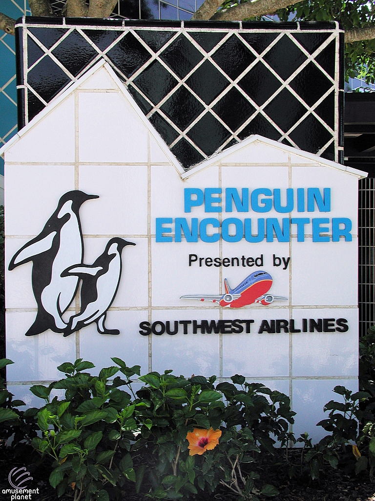 Penguin Encounter