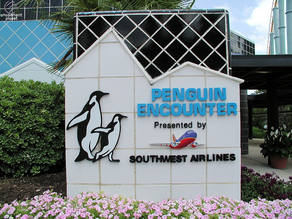 Penguin Encounter