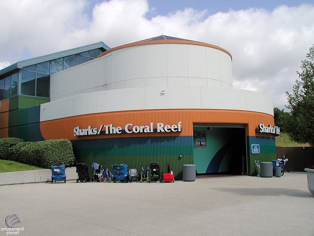 Sharks and the Coral Reef