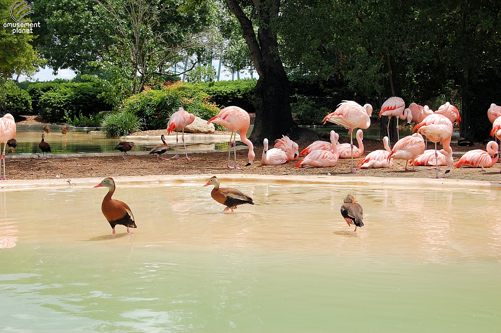 SeaWorld San Antonio