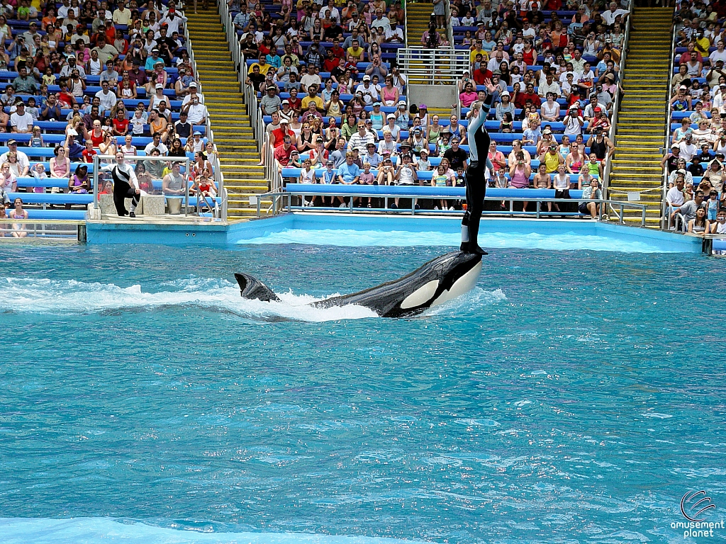 Shamu Stadium