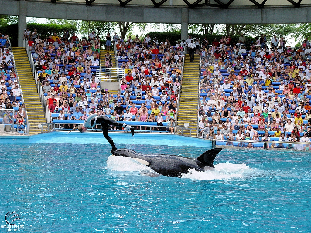 Shamu Stadium