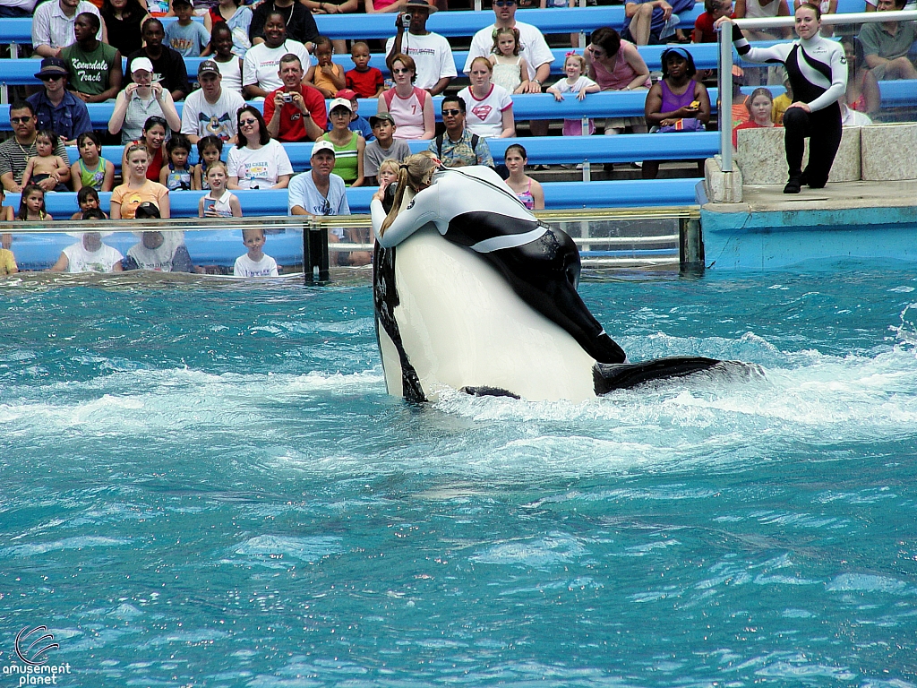 Shamu Stadium