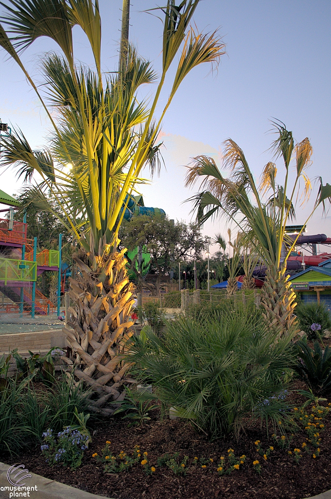 Aquatica San Antonio