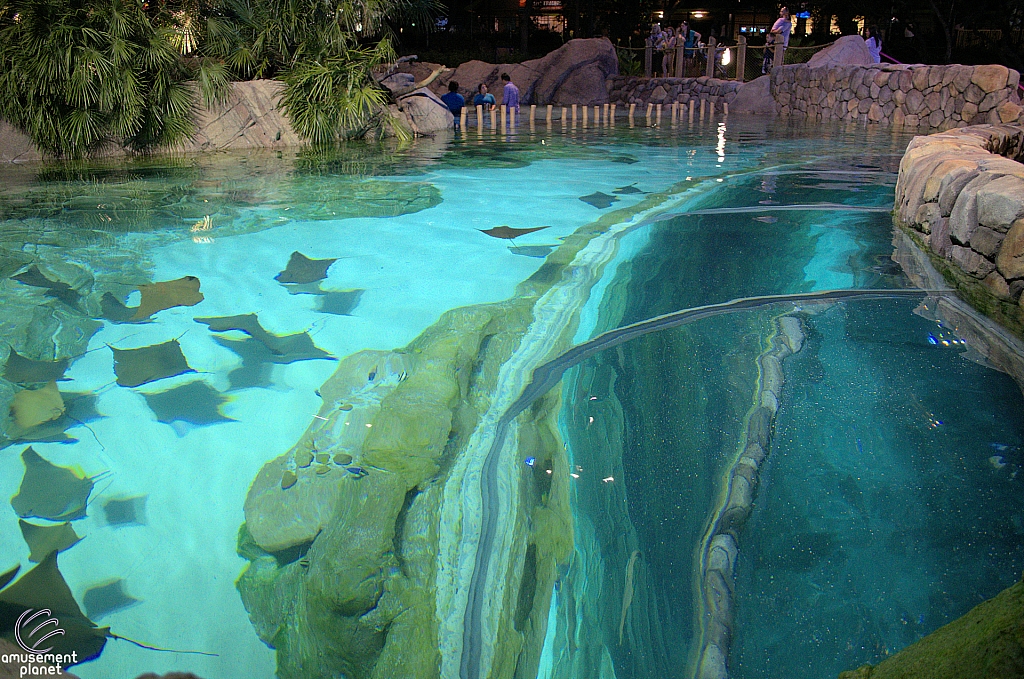 Stingray Rapids