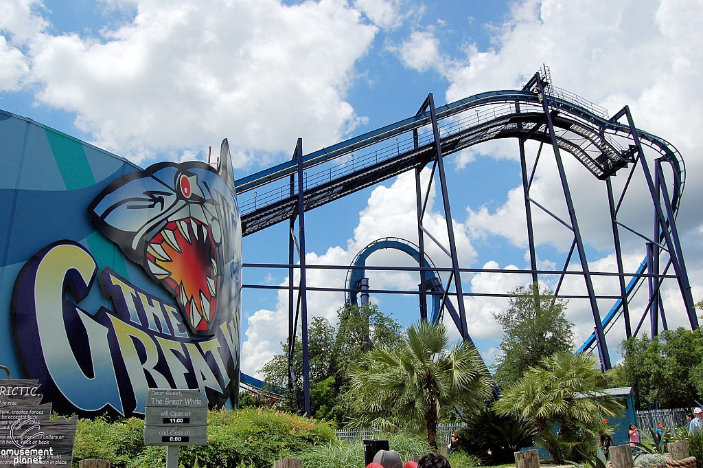 Great White