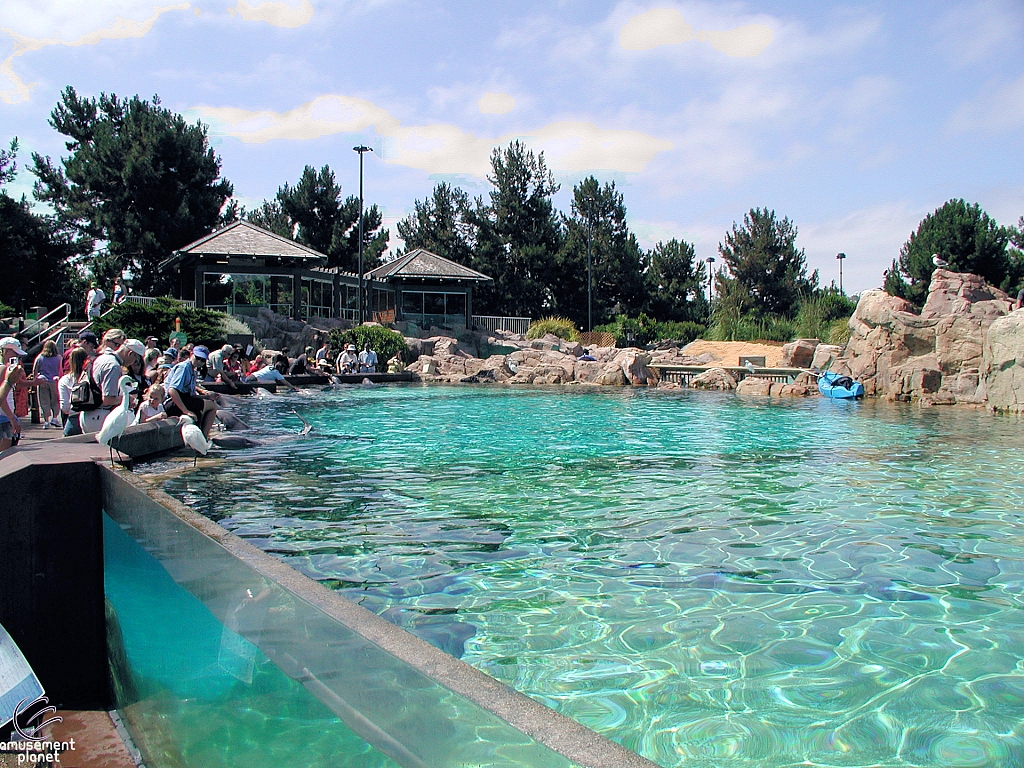Dolphin Cove