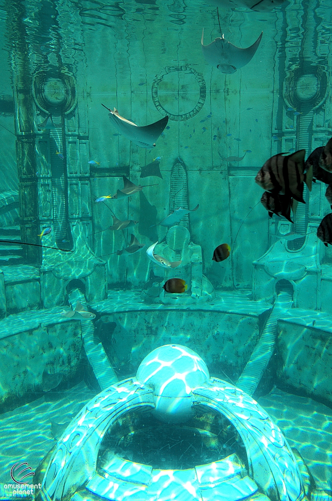 Joruney to Atlantis Aquarium