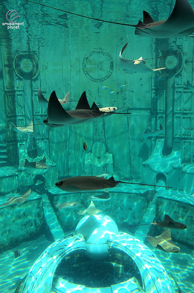 Joruney to Atlantis Aquarium