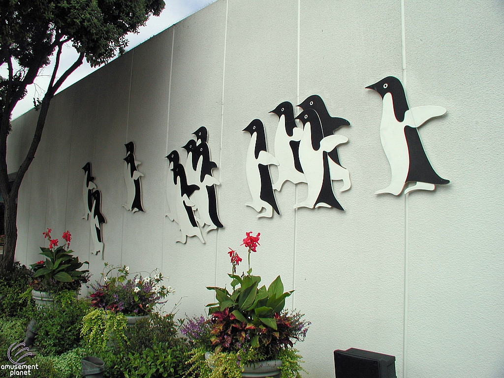Penguin Encounter