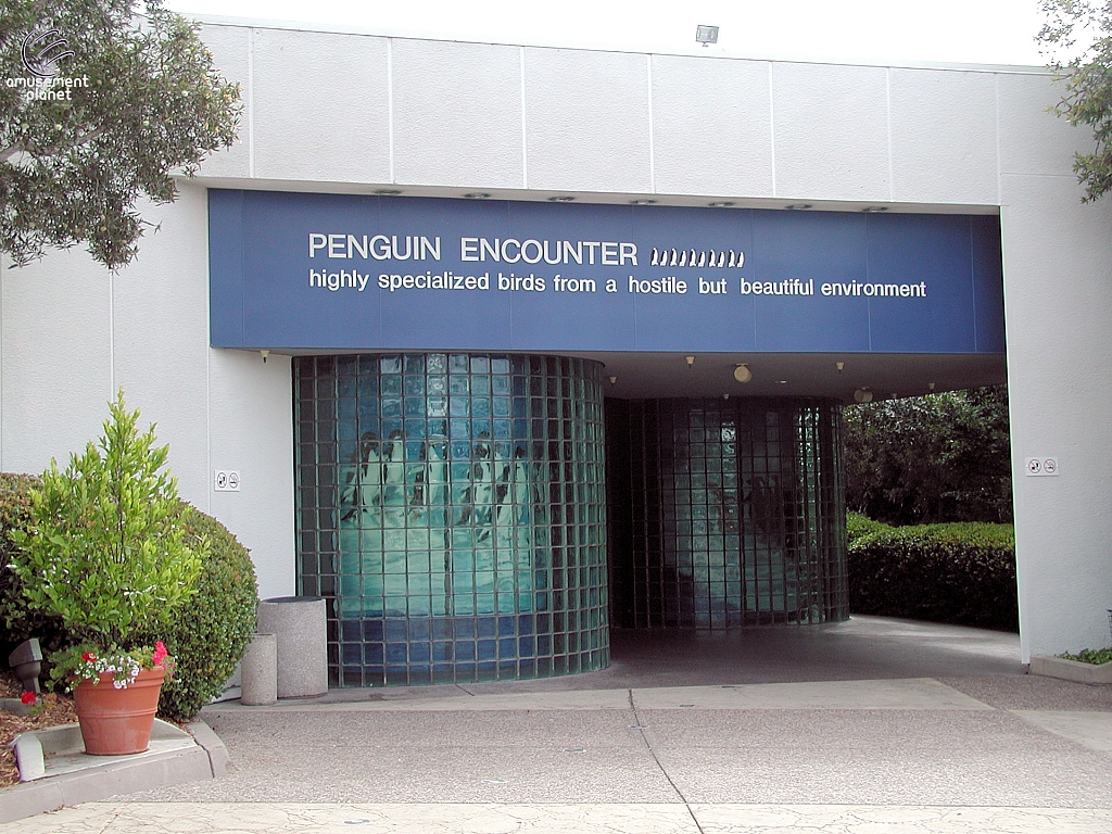 Penguin Encounter