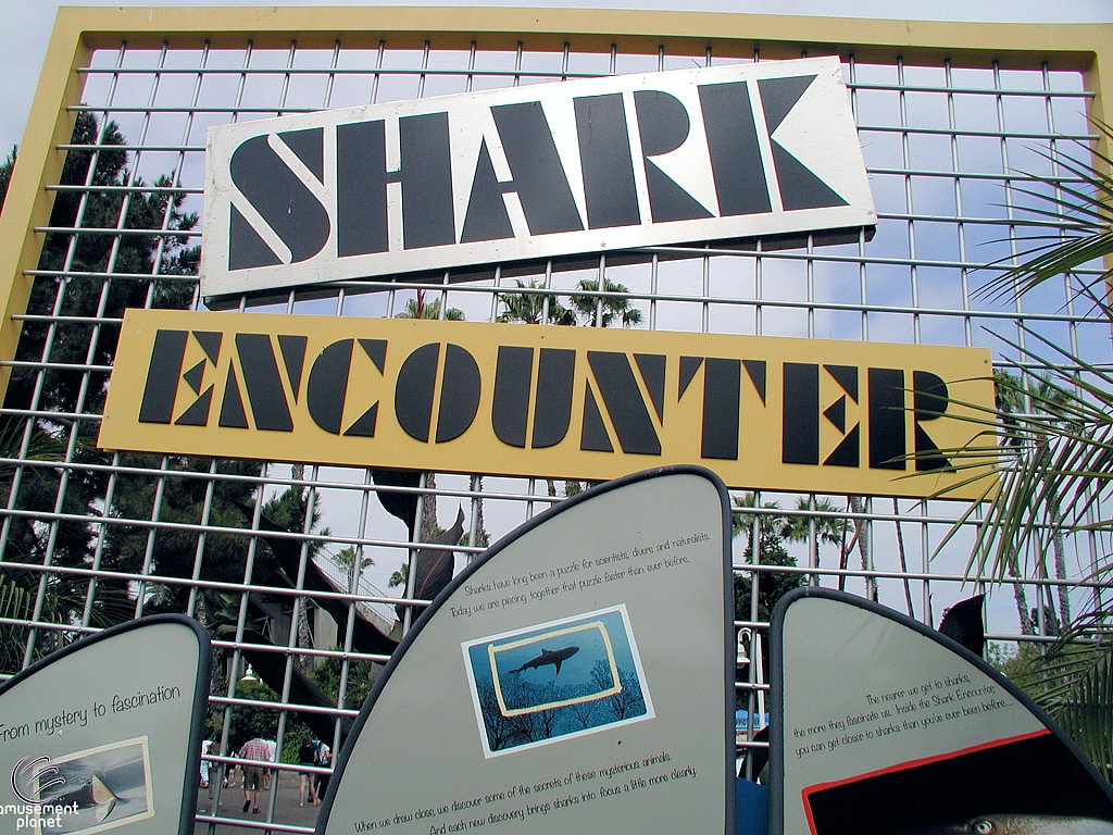 Shark Encounter