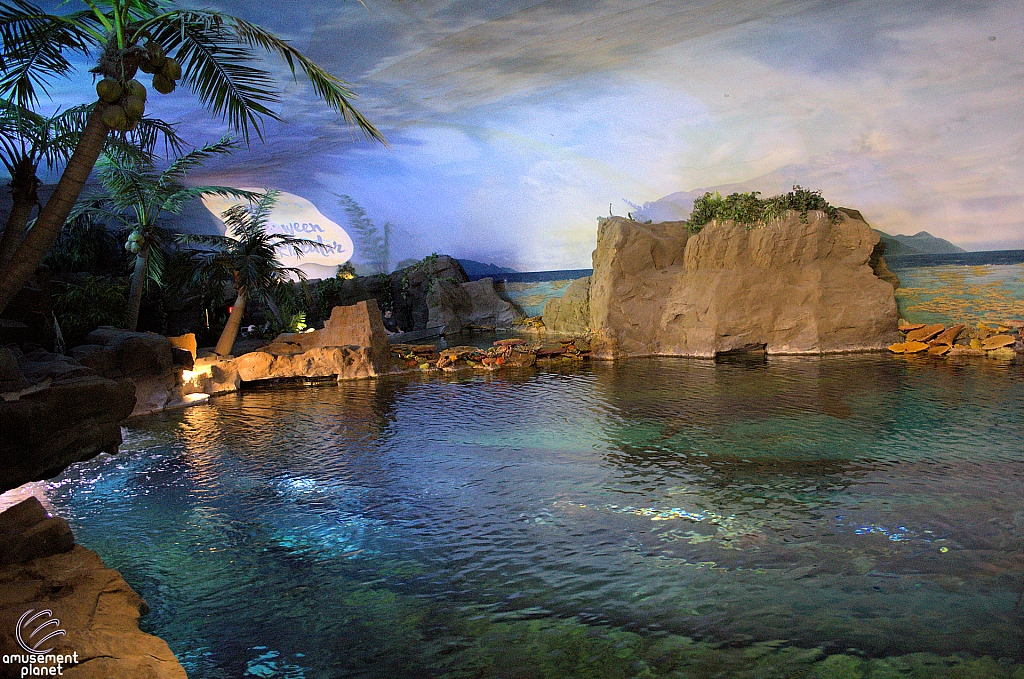 Shark Encounter