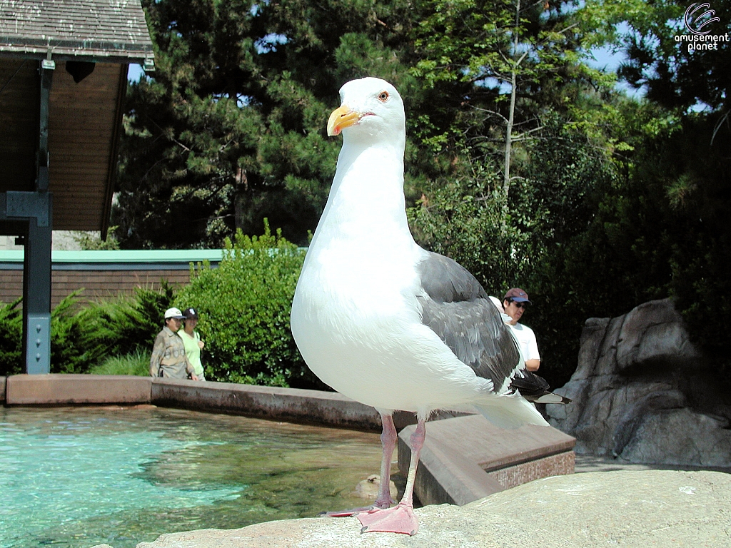 SeaWorld San Diego