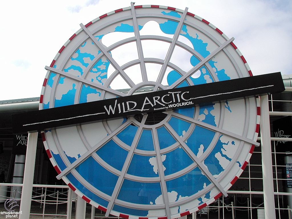 Wild Artic