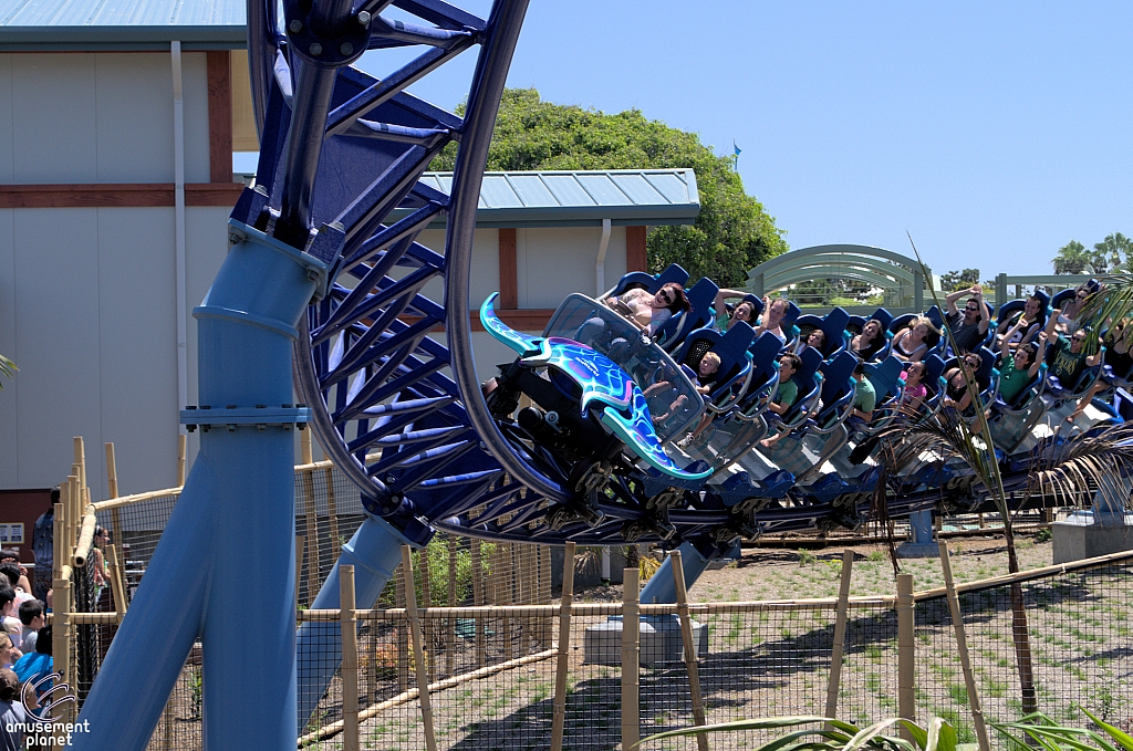 Manta