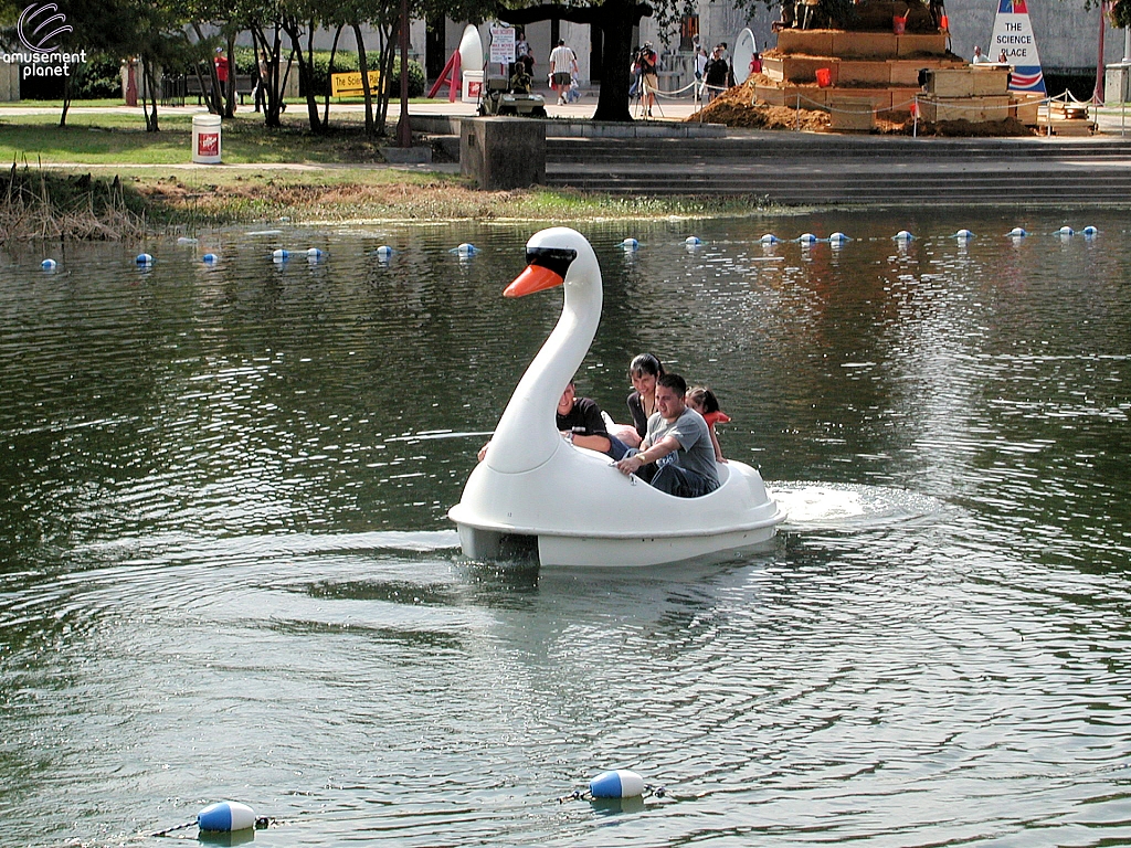 Swan Boats