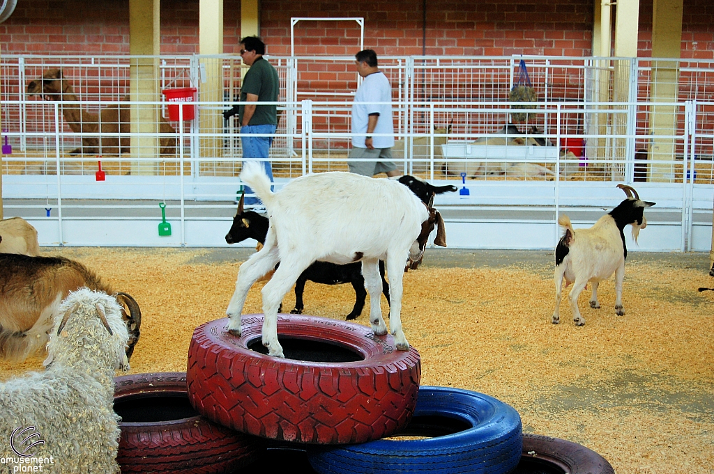 Children's Medical Center Barnyard