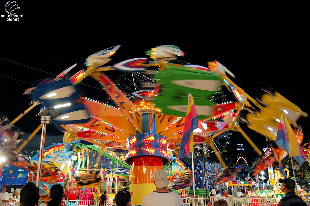 Kite Flyer