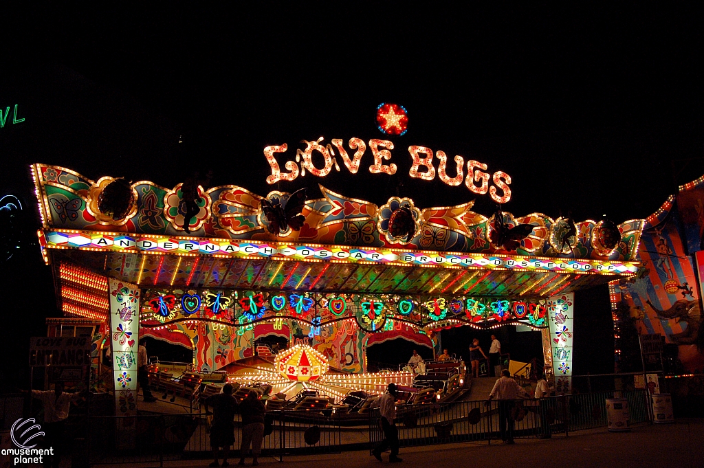 Love Bugs