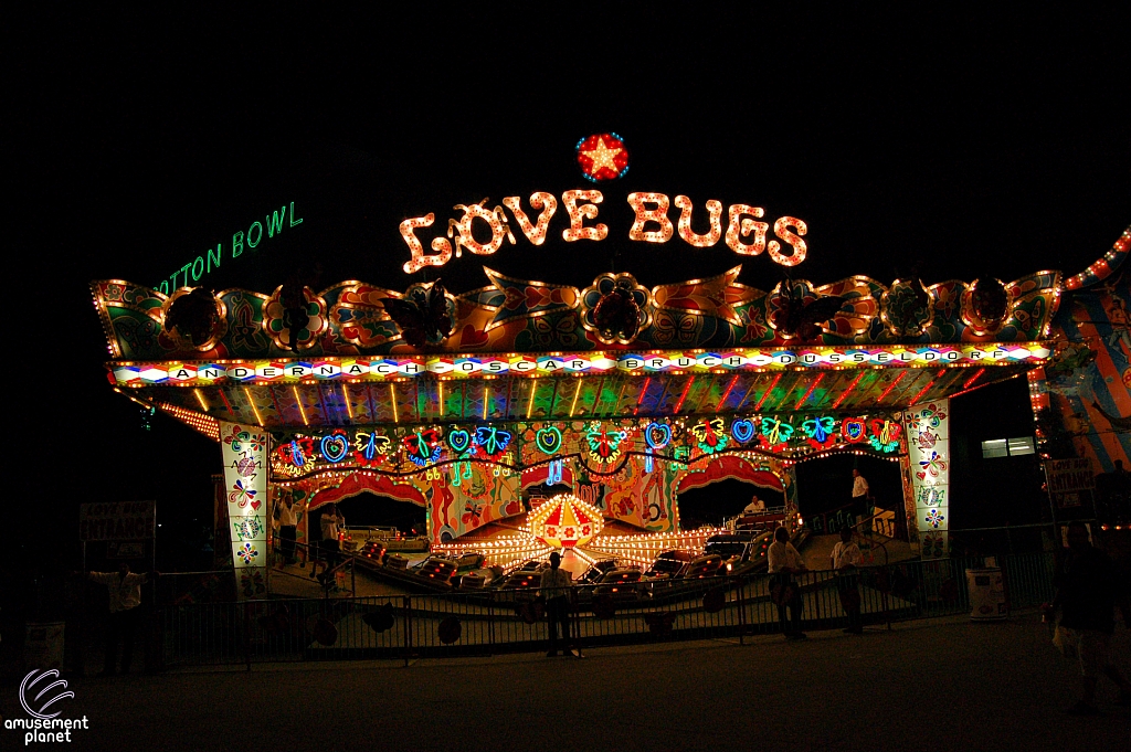 Love Bugs