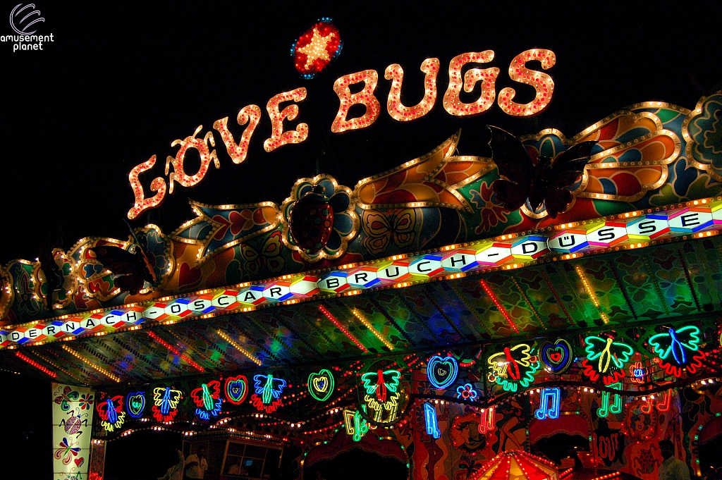 Love Bugs