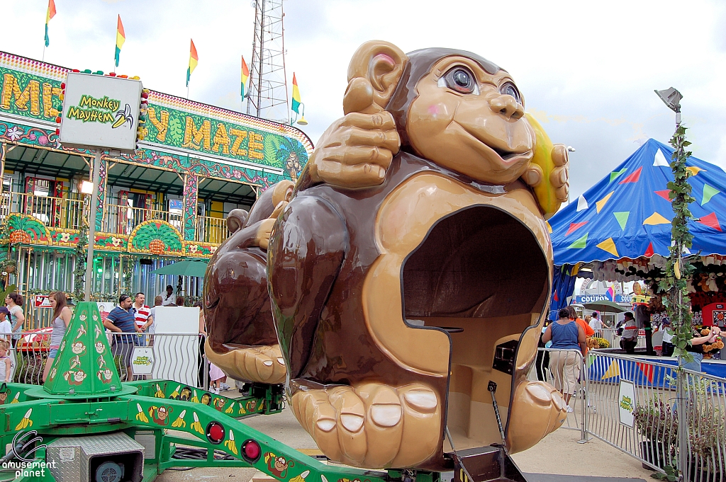 Monkey Mayhem