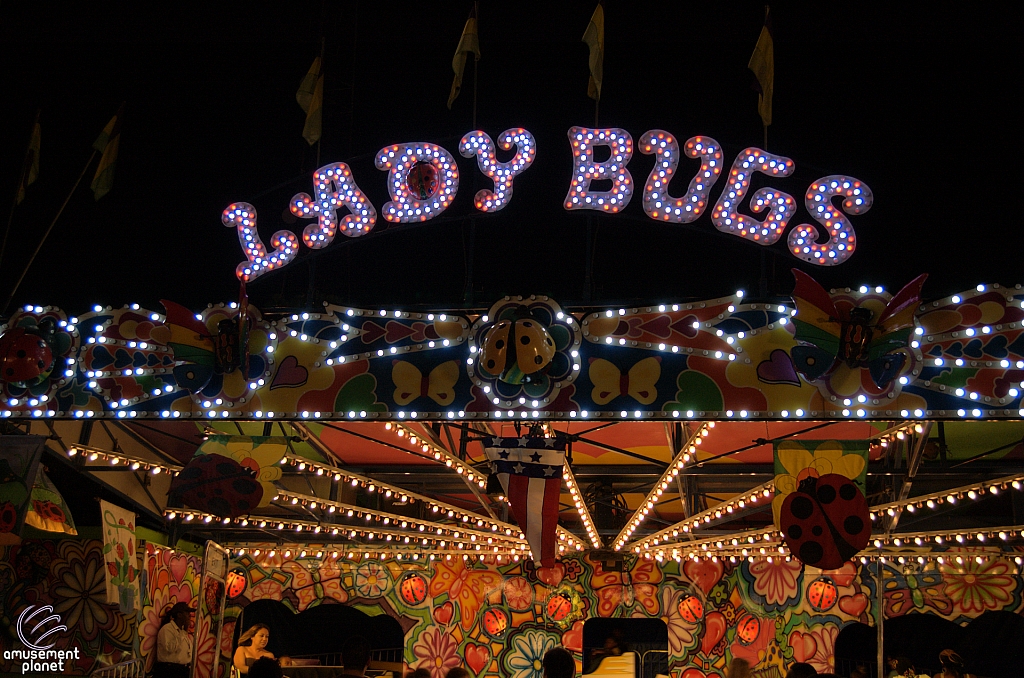 Lady Bugs