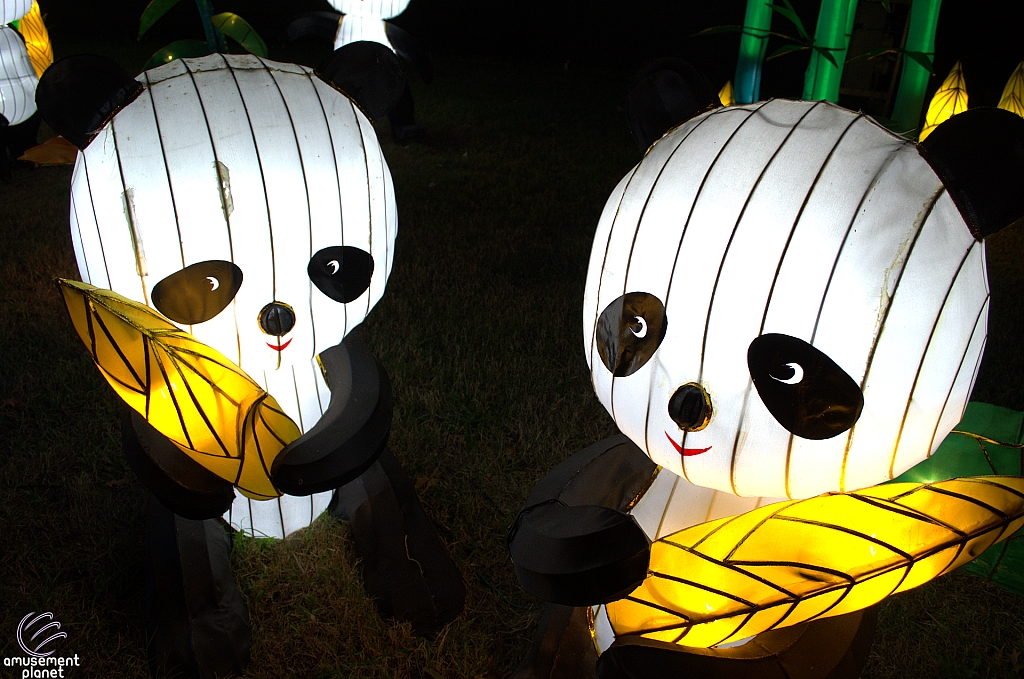 Chinese Lantern Festival