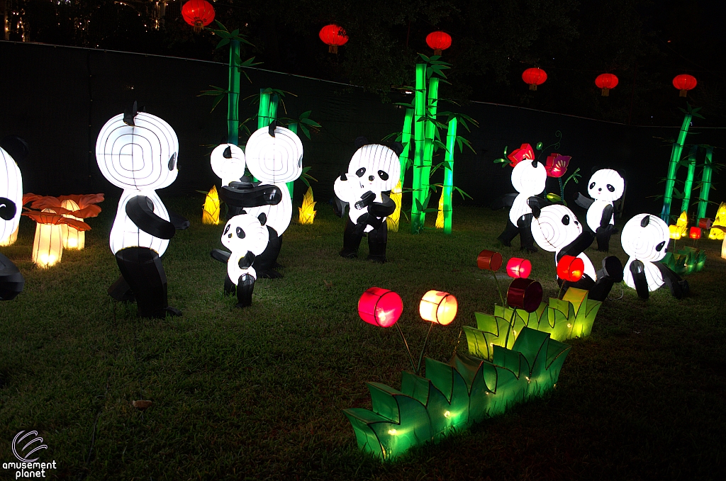 Chinese Lantern Festival