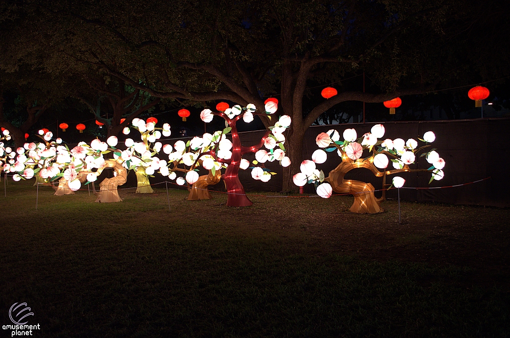 Chinese Lantern Festival