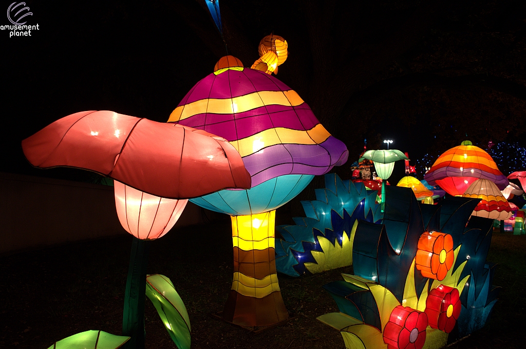 Chinese Lantern Festival