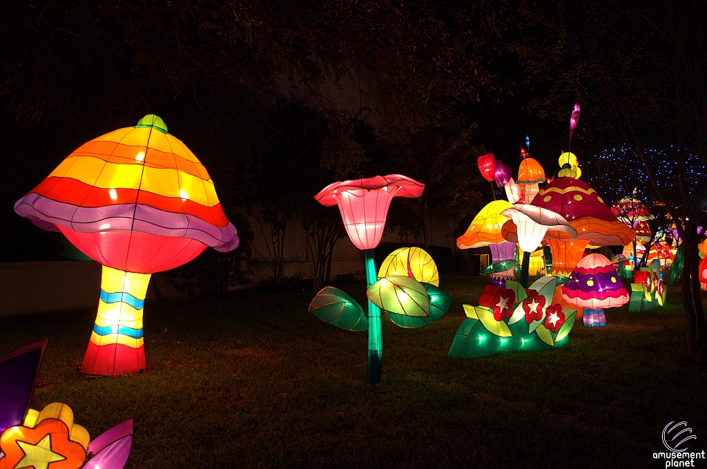 Chinese Lantern Festival