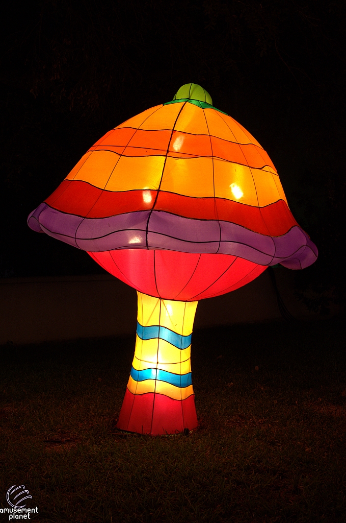 Chinese Lantern Festival