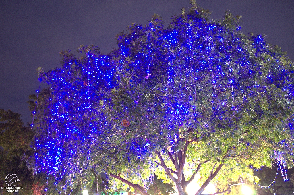 Chinese Lantern Festival