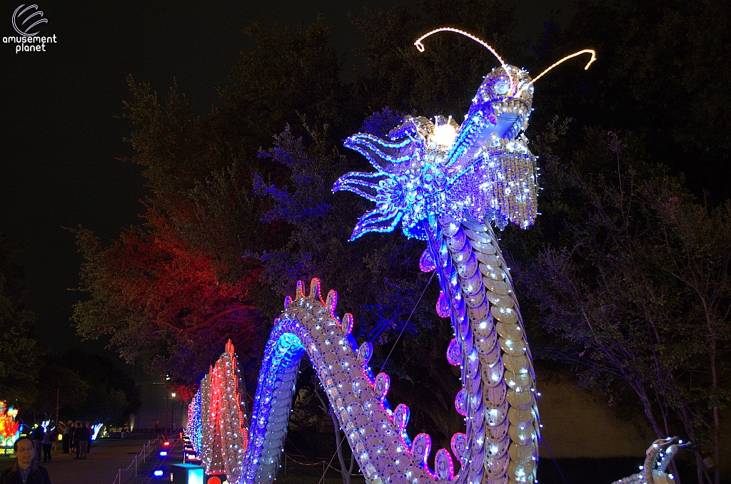 Chinese Lantern Festival