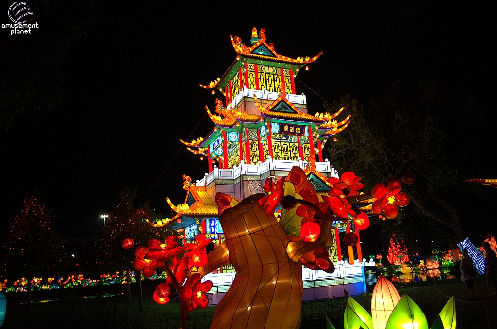 Chinese Lantern Festival