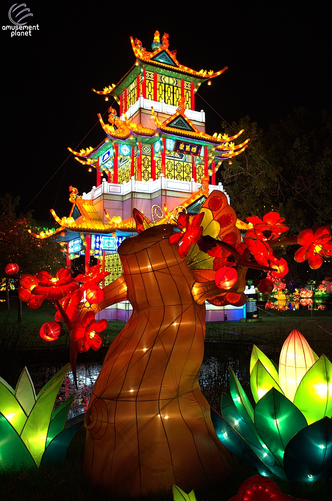 Chinese Lantern Festival