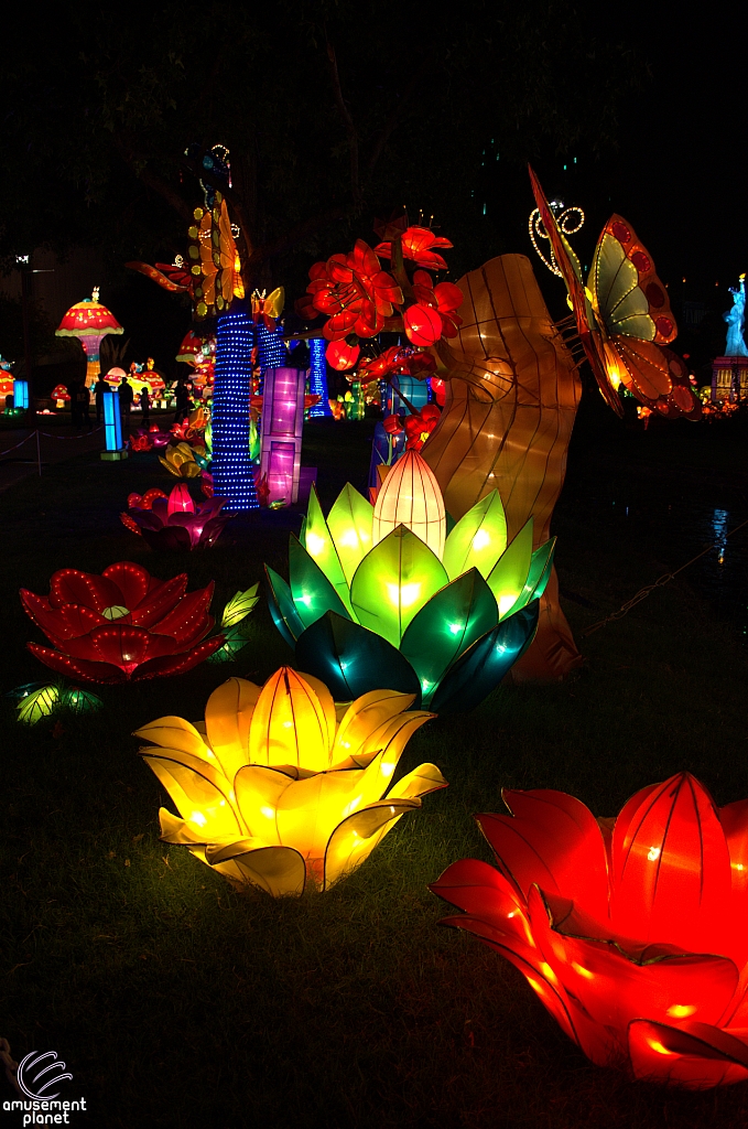 Chinese Lantern Festival