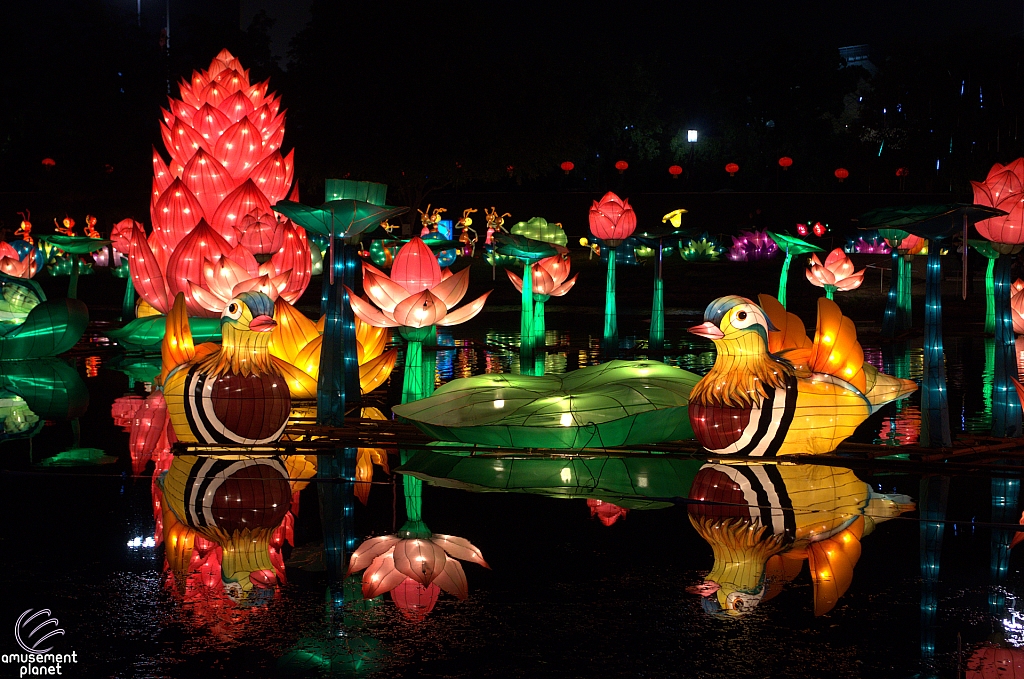 Chinese Lantern Festival