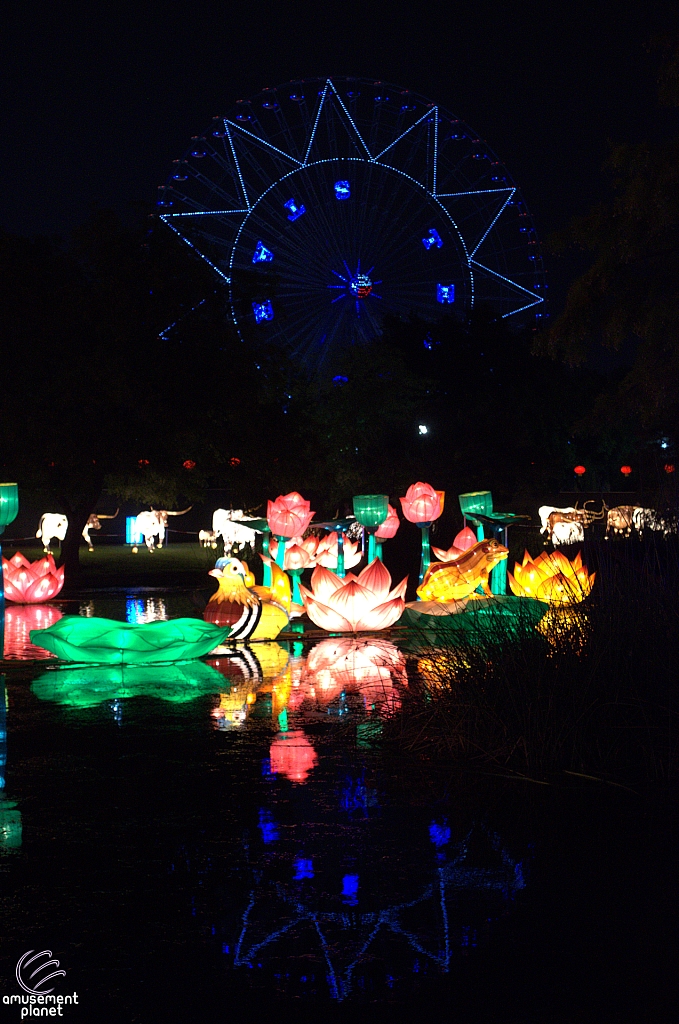 Chinese Lantern Festival