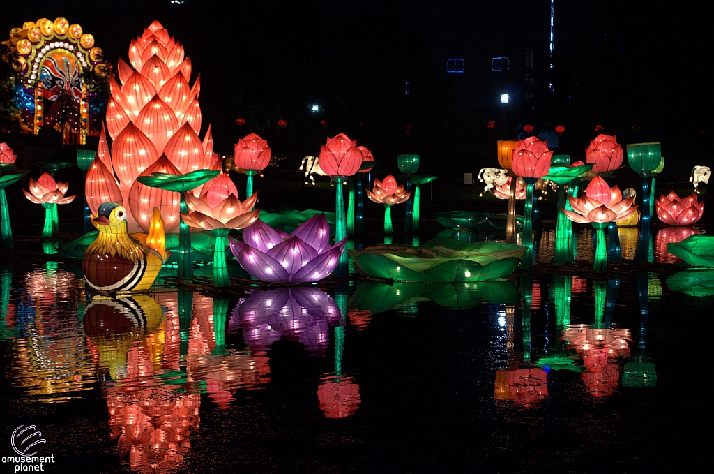 Chinese Lantern Festival