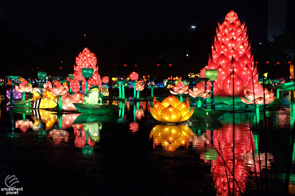 Chinese Lantern Festival