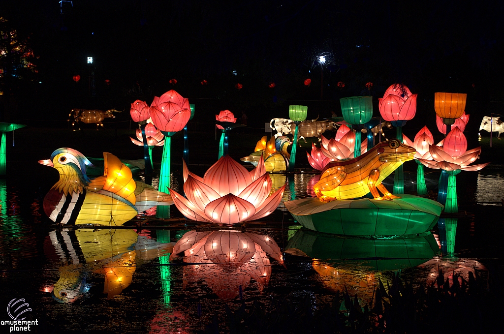 Chinese Lantern Festival