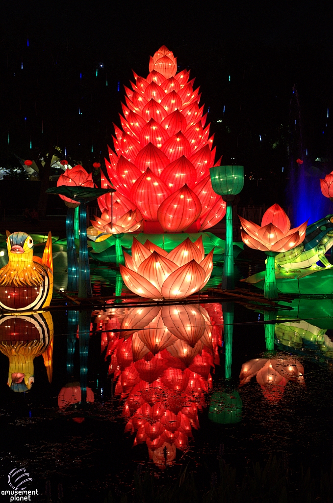 Chinese Lantern Festival
