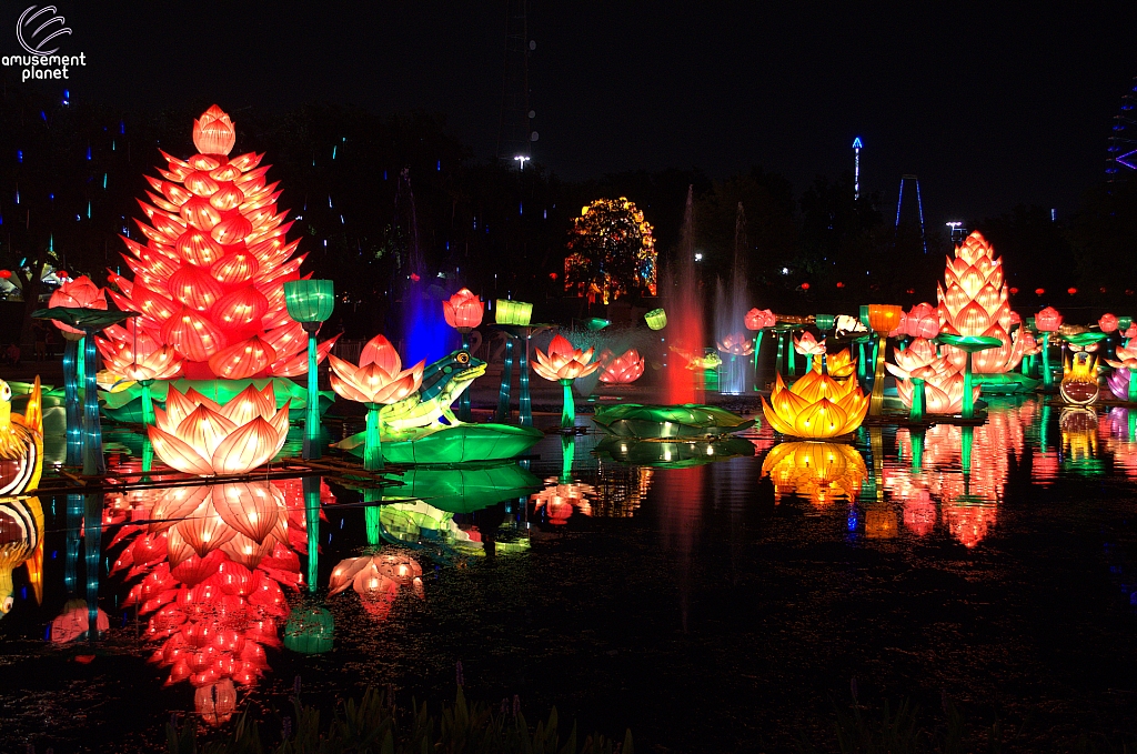 Chinese Lantern Festival