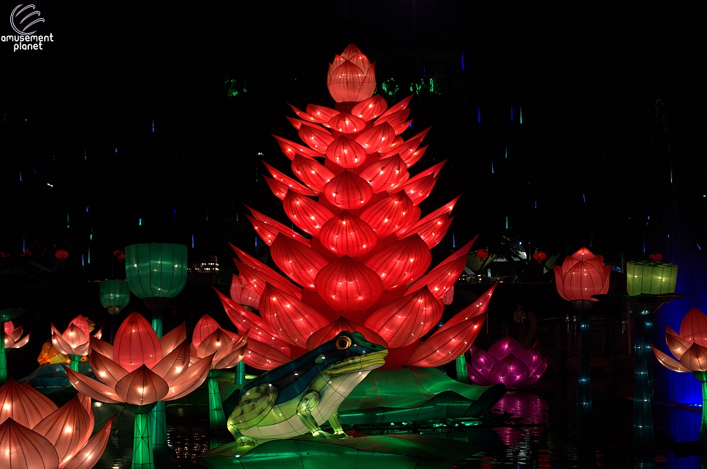 Chinese Lantern Festival